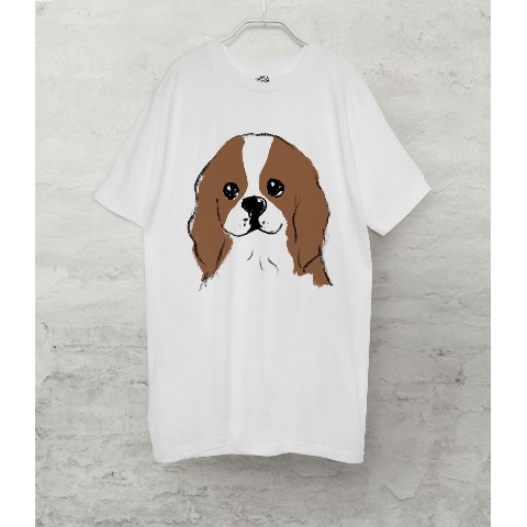 【せいこせんせい】キャバリア　Tシャツ（ホワイト）犬 Mサイズ