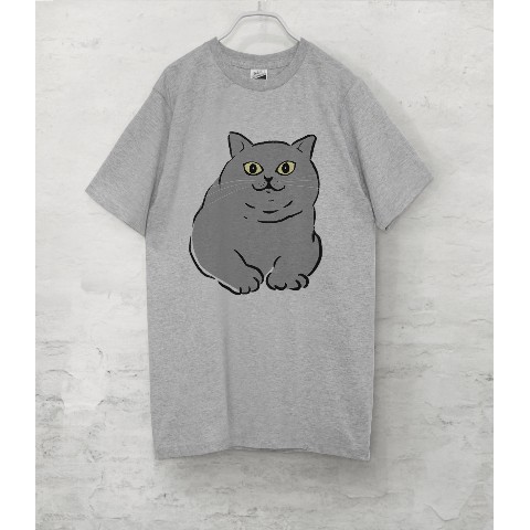 【せいこせんせい】ブリティッシュショートヘア　Tシャツ（グレー）猫  XLサイズ