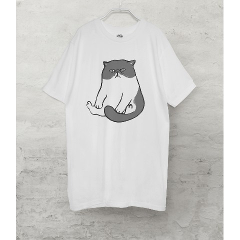 【せいこせんせい】エキゾチックショートヘア　Tシャツ（ホワイト）猫 Ｌサイズ