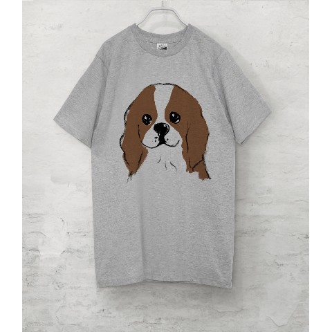 【せいこせんせい】キャバリア　Tシャツ（グレー）犬 XLサイズ