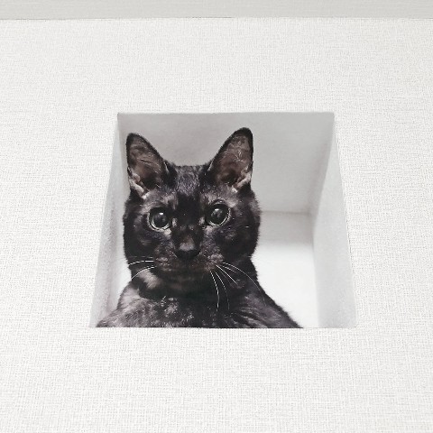 壁からネコ／妄想マッピングステッカー(黒猫)