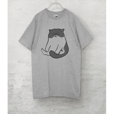 【せいこせんせい】エキゾチックショートヘア　Tシャツ（グレー）猫 Mサイズ