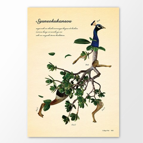 【スギウラユウミ】不思議な動植物ポスター「シュンソクカンソウ」A4