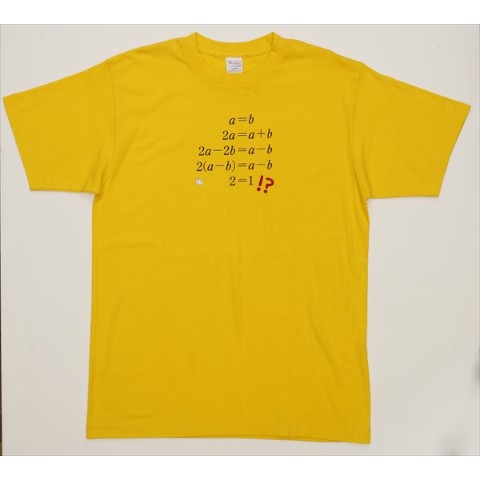 【数研出版】Tシャツ（解答間違いさがし：等式の変形）　Lサイズ