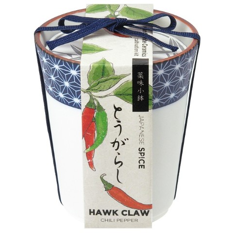 【栽培キット】染付小紋薬味小鉢（とうがらし）