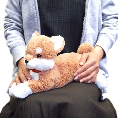 【癒し系ぬいぐるみ】ひざわんこ（柴犬/ベージュ）