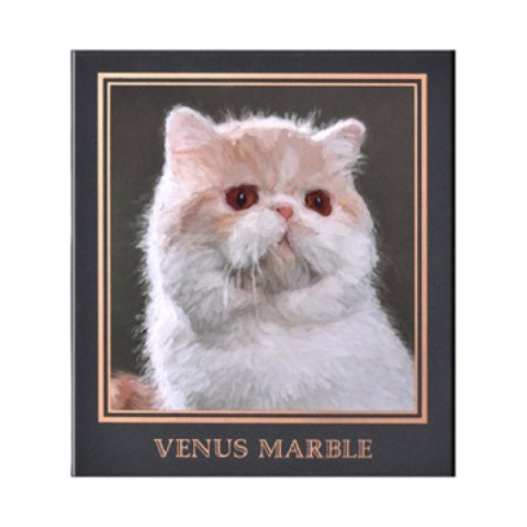 【Venus Marble】キャットシリーズ　エキゾチック