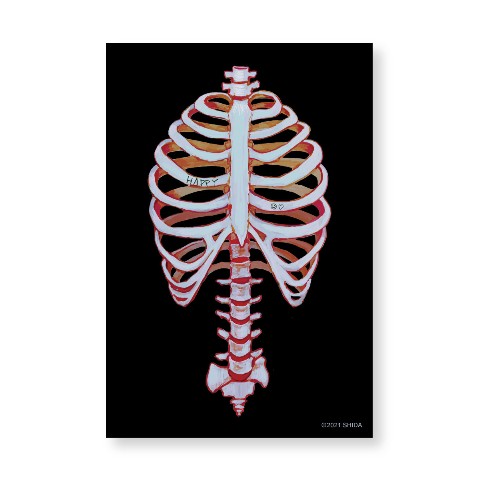 【羊歯】ポストカード ハッピー