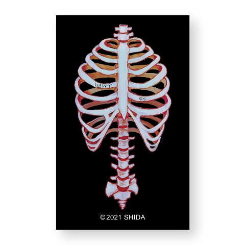 【羊歯】ステッカー ハッピー