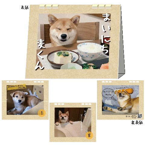 【柴犬麦】日めくりカレンダー