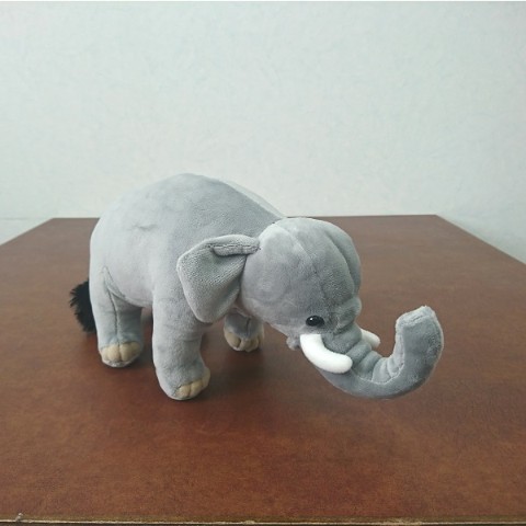 【わくわく図鑑シリーズ】アジアゾウ