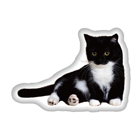 【ねこのうに】ダイカットクッション