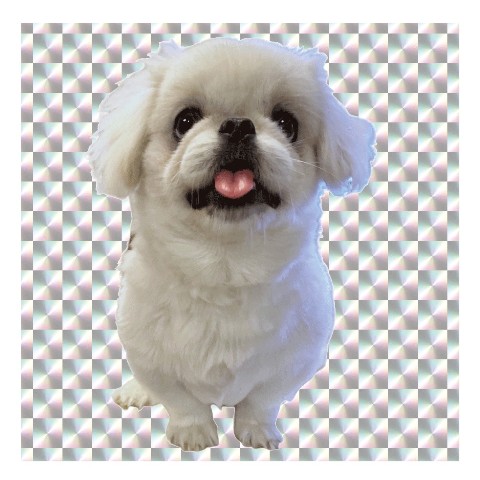 【ムーチョ】キラキラステッカー≪単品≫（全8種ランダム）