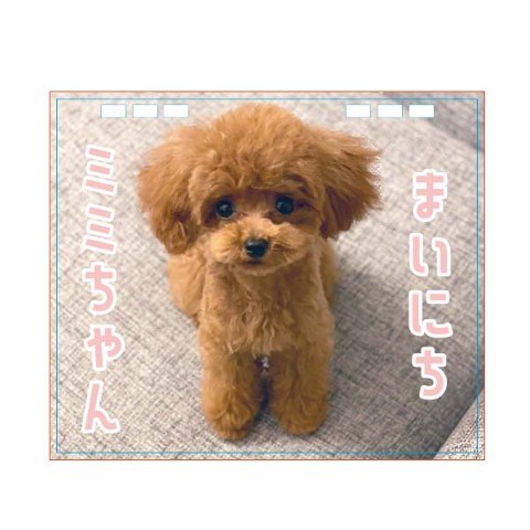 【三浦優生】ひめくりカレンダー