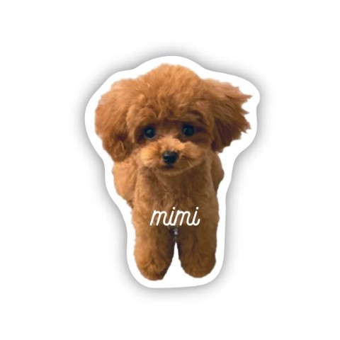 【三浦優生】ダイカットステッカー　ミミ