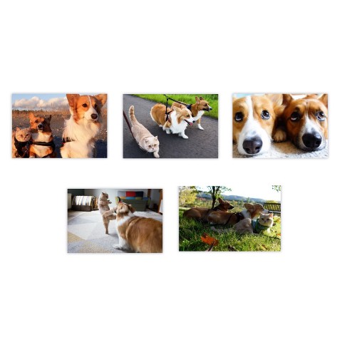 【ちいむうととろ】ポストカード5枚セット