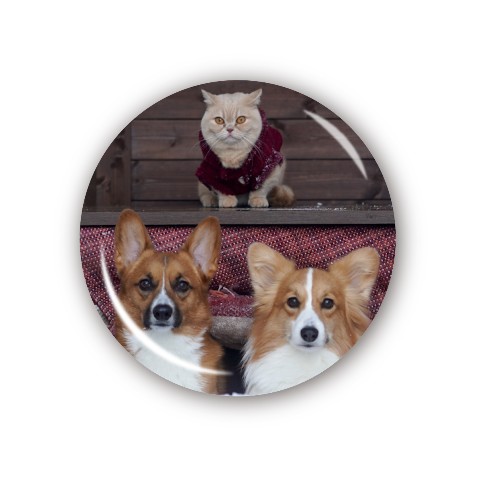 【ちいむうととろ】缶バッジ『庭でコタツ』