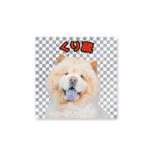 【くり蔵】ビッくりシール　くり蔵