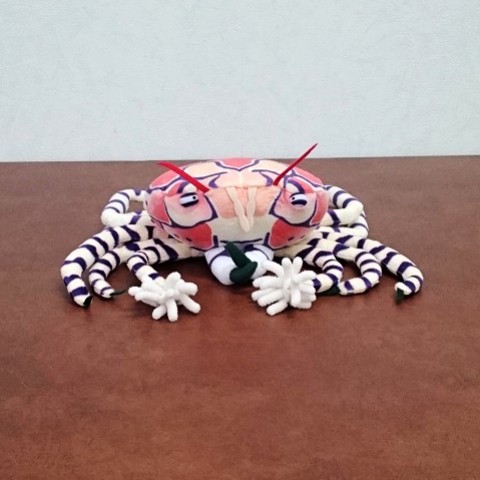 キンチャクガニ