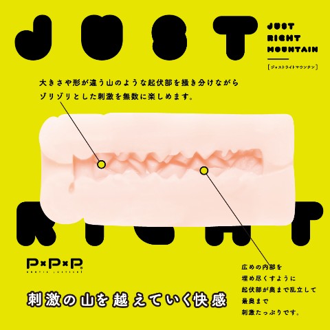 ホール】ＪＵＳＴ ＲＩＧＨＴ ＭＯＵＮＴＡＩＮ / vvstore