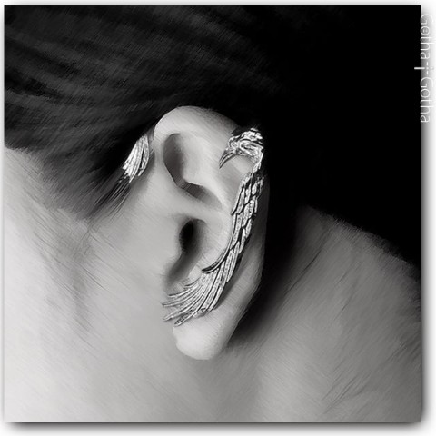 【Gotha×Gotha】BIRDCuffピアス(GOLD)