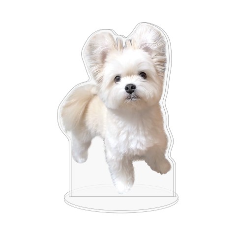 【ぽんた】キャラスタンド  全身