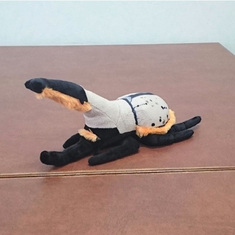 【わくわく図鑑】グラントシロカブト