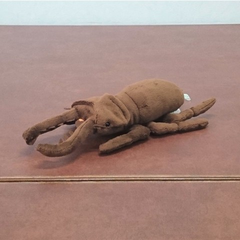 【わくわく図鑑】ミヤマクワガタ