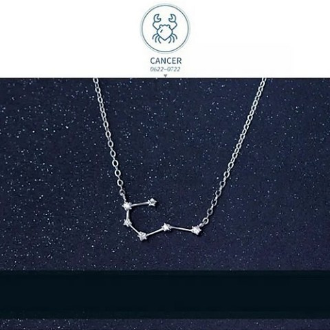 kawaiiiii!】『Cancer 蟹座』12星座のネックレス / vvstore