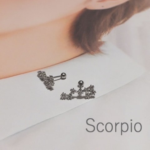 kawaiiiii!】『Scorpio 蠍座』12星座のピアス / vvstore