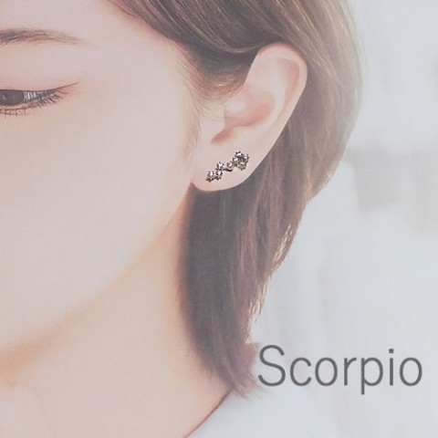 kawaiiiii!】『Scorpio 蠍座』12星座のピアス / vvstore