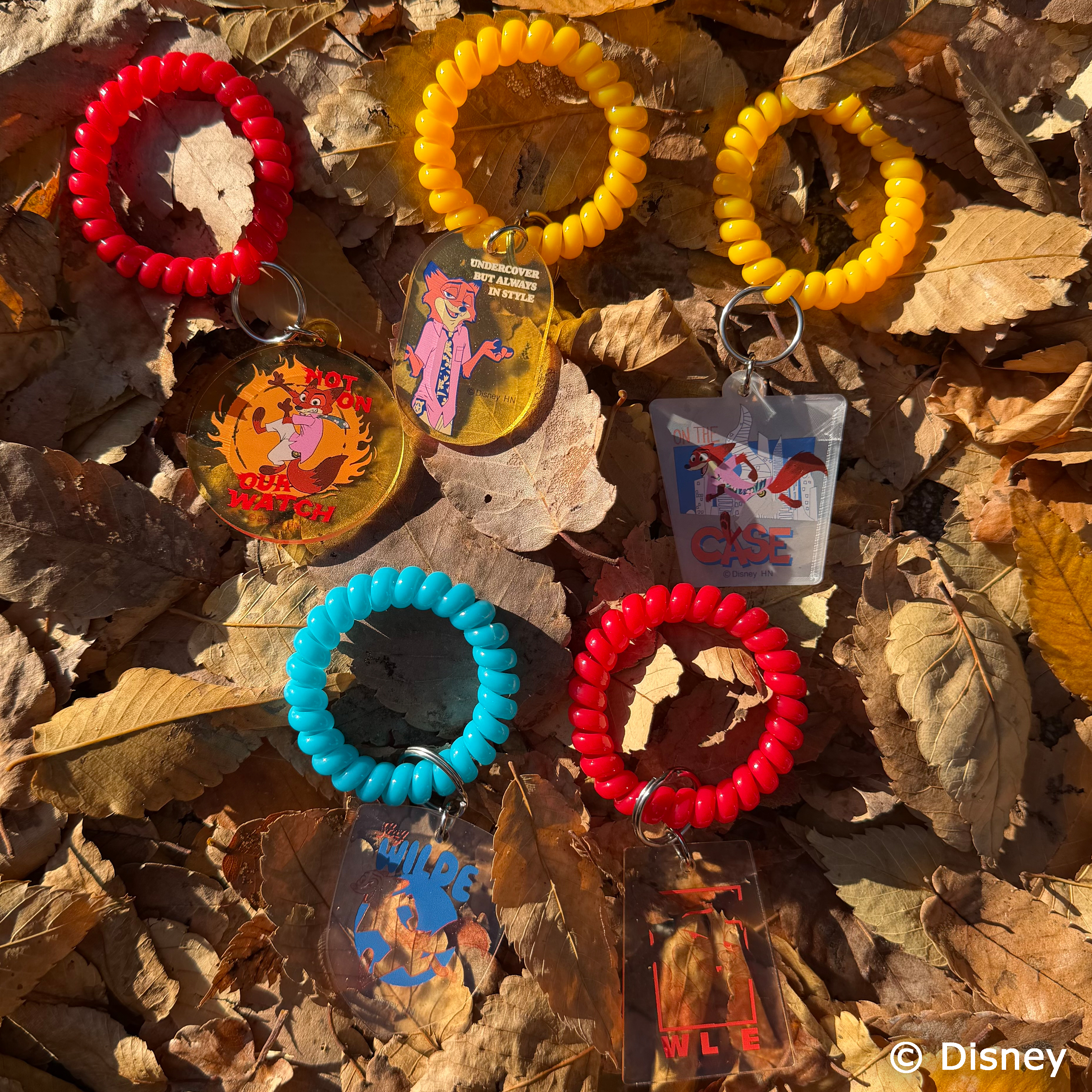 【ズートピア ２】スプリングゴムコレクション≪単品≫（全5種ランダム）