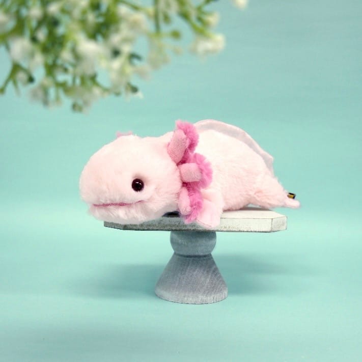 【フラッフィーズ 】ぬいぐるみ S ウーパールーパー PK
