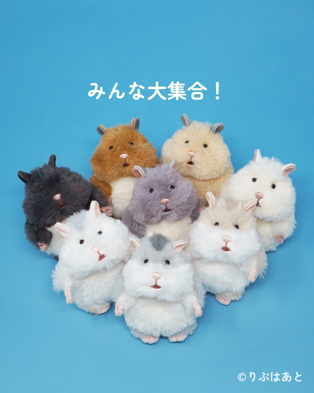 もっちりはむにぎり】新色＆チャーム登場！！ハムの力でリラックス