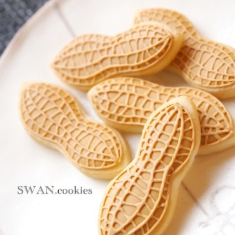 SWAN.cookies