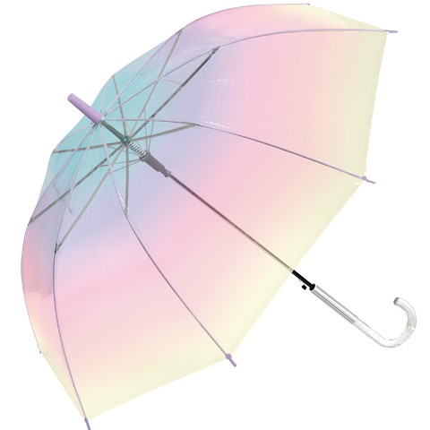 ◆傘◆