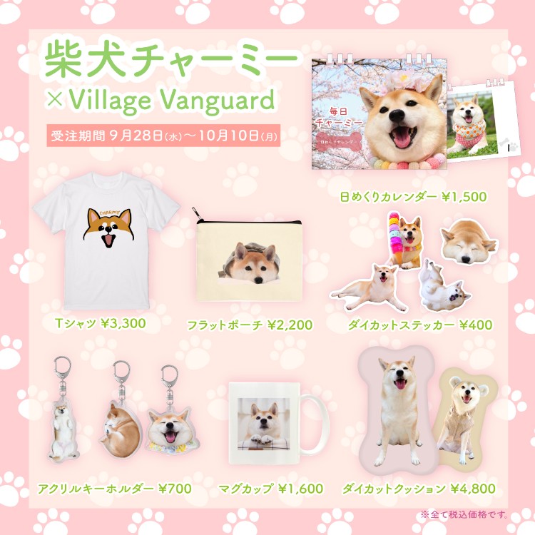 [Shiba Inu Charmy x Village Vanguard] Collaboration goods will be released! !