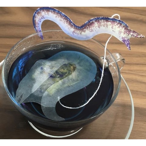 【ocean-teabag】ウツボのティーバッグ　(青いレモングラス＆ミントティー4ｐ入)