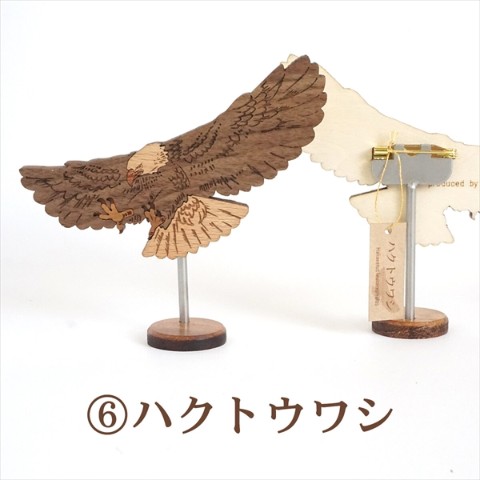 ブローチ kiawase -bird selection- ハクトウワシ