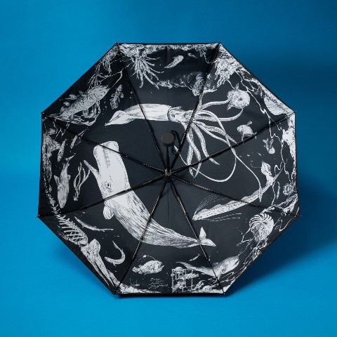 【マグメル深海水族館】航太郎の折りたたみ傘