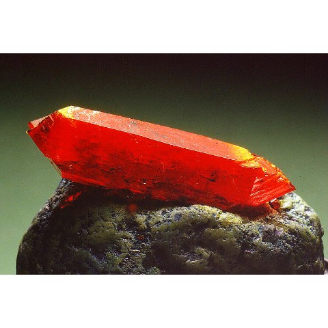 赤色結晶[Red ladynite]育成キット