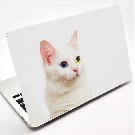 【目が光る】猫Macbookスキンシール PCケース　MacBookPro【IT’s my life】