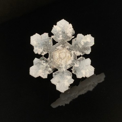 【SHINO】雪の結晶。ピンバッジ