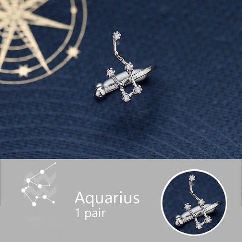 【＃kawaiiiii!】『Aquarius  水瓶座』12星座のイヤーカフ