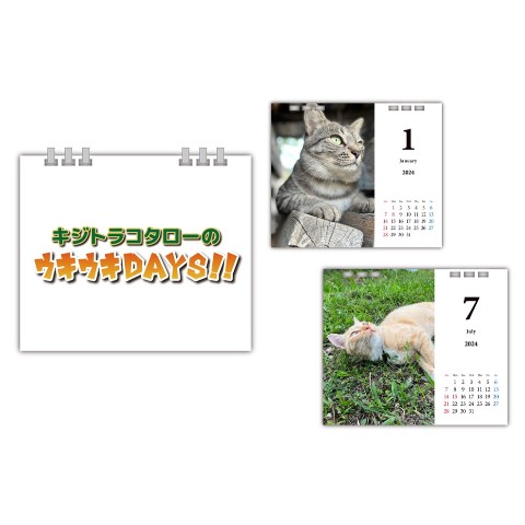 【キジトラ・コタローのウキウキDAYS!!】月めくりカレンダー