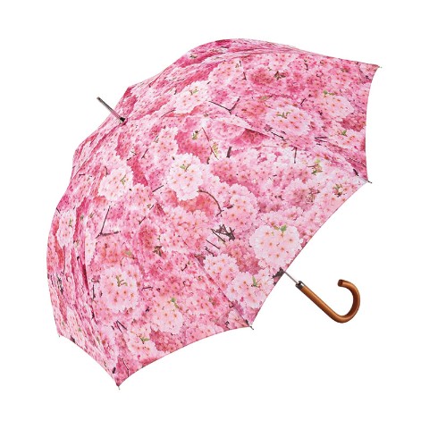 【REDIC umbrella】桜