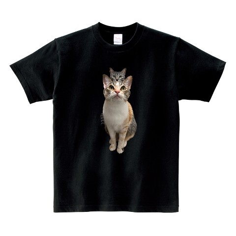 【グルメ猫の日常【ととまるはんみ】】Tシャツ BK（Mサイズ）