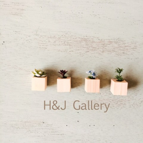 【H&J Gallery】更に小さな植木鉢 プッシュピン ナチュラル