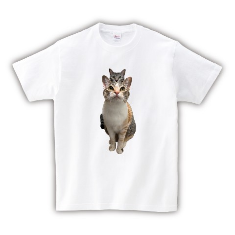 【グルメ猫の日常【ととまるはんみ】】Tシャツ WH（Lサイズ）