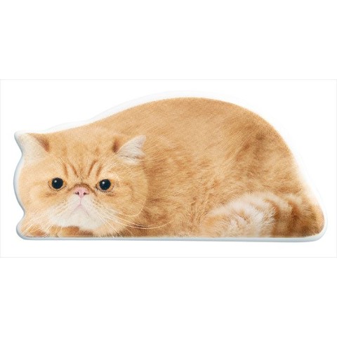 【Oh，my Cats】リアルキャット箸置き エキゾチック